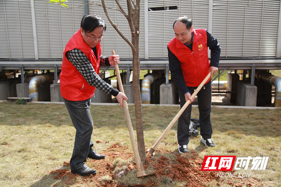 “履行植树义务，共建美丽潇湘”主题党日活动1_副本.jpg